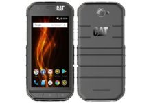 Cat S31