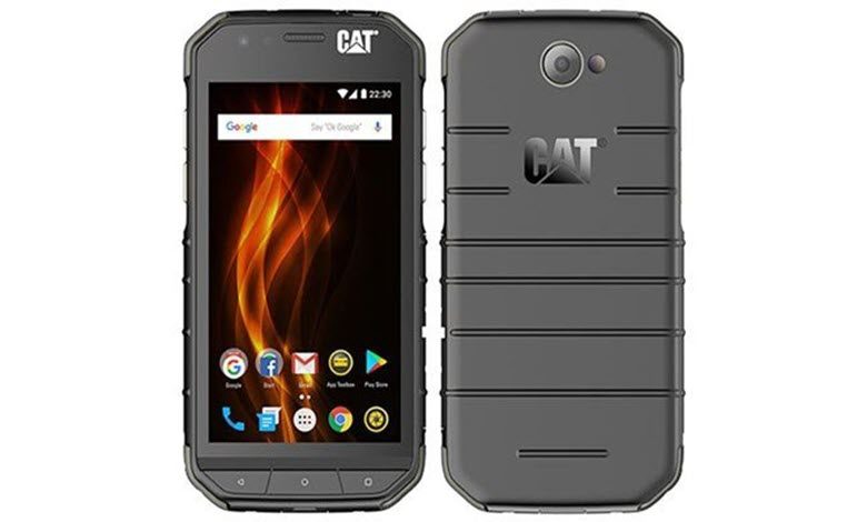 Cat S31