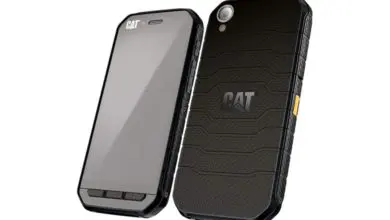 Cat S41