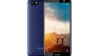 Gionee F205