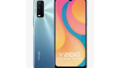 vivo Y20g