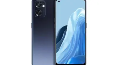 Oppo Reno8 (China)