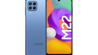 Samsung Galaxy M22