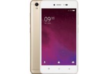 Lava Z60