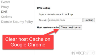 Clear DNS Host Cache on Chrome